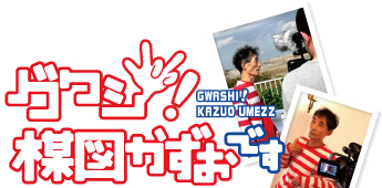 �f��w�O���V���}�������ł��x